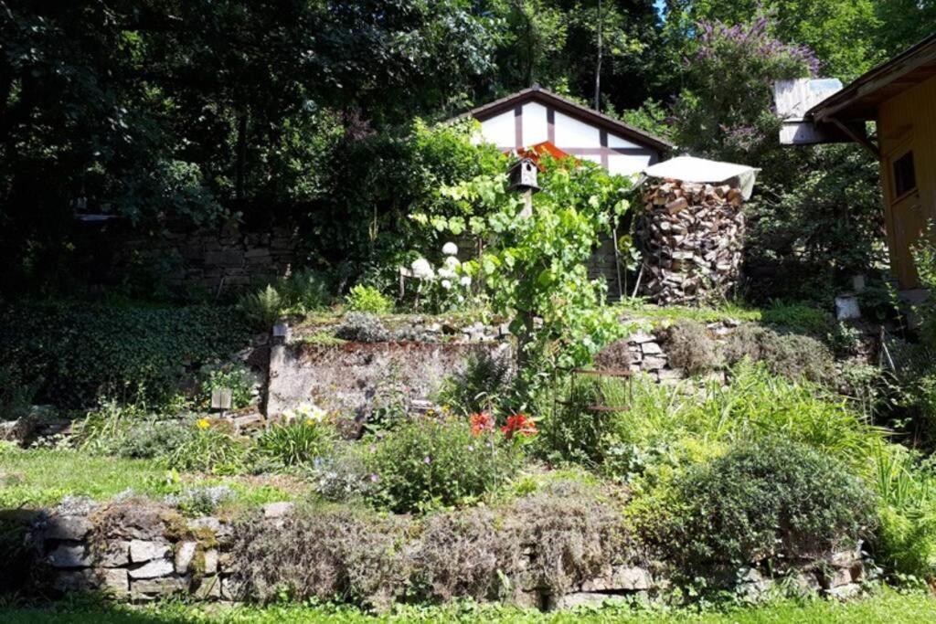 Eine Gemuetliche Ferienwohnung Mit Garten Bad Karlshafen Exteriör bild