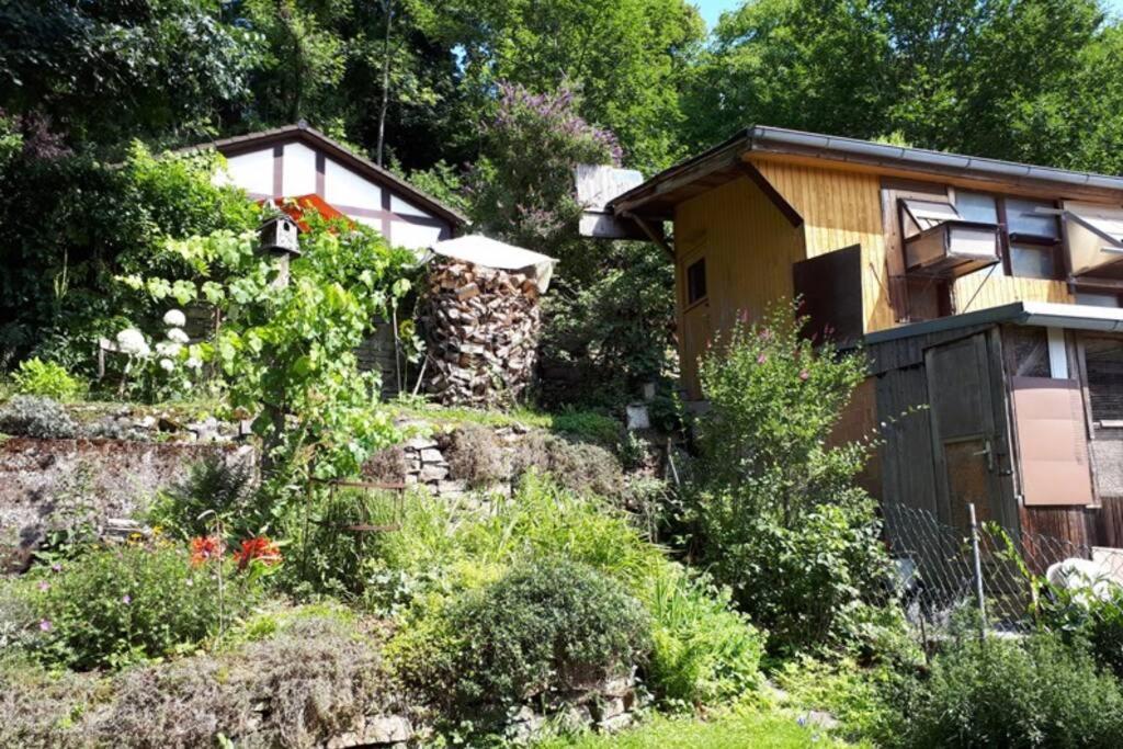 Eine Gemuetliche Ferienwohnung Mit Garten Bad Karlshafen Exteriör bild