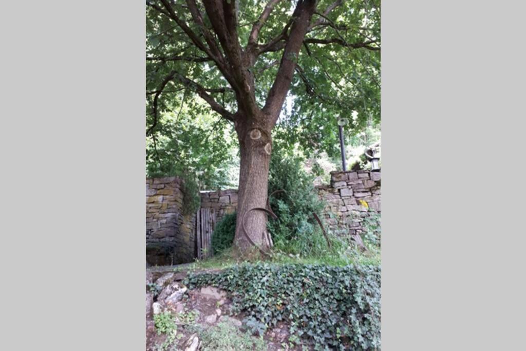 Eine Gemuetliche Ferienwohnung Mit Garten Bad Karlshafen Exteriör bild