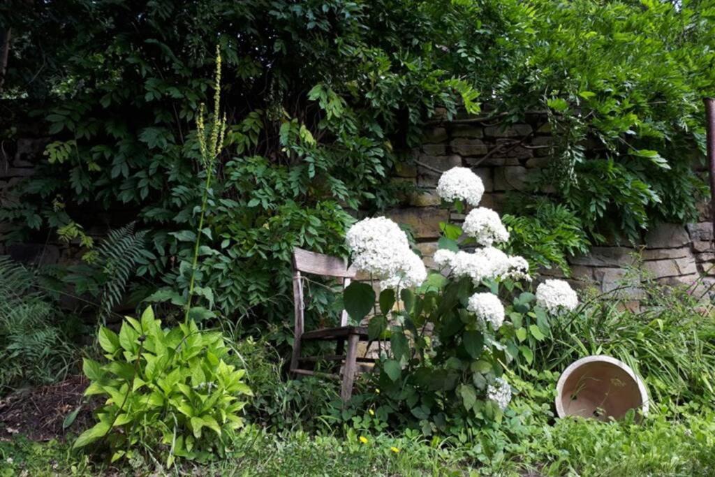Eine Gemuetliche Ferienwohnung Mit Garten Bad Karlshafen Exteriör bild